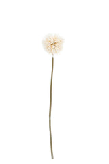 Dandelion Stem Natural 86cm | Faux Botanical