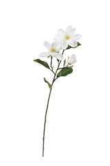 Legacy Magnolia Faux Spray Cream