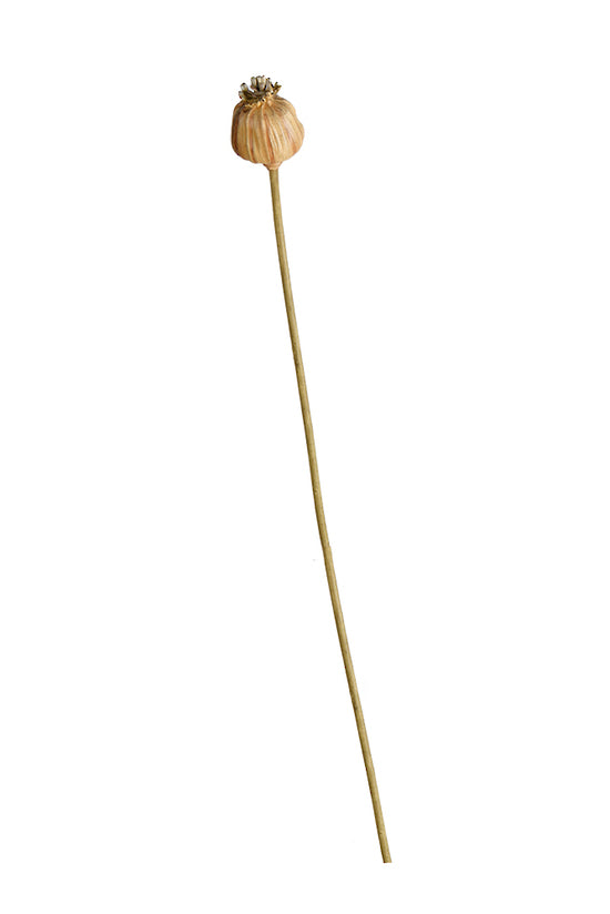 A maintenance-free Poppy Seed Stem Dried Look flower on a stick by Artificial Flora.
