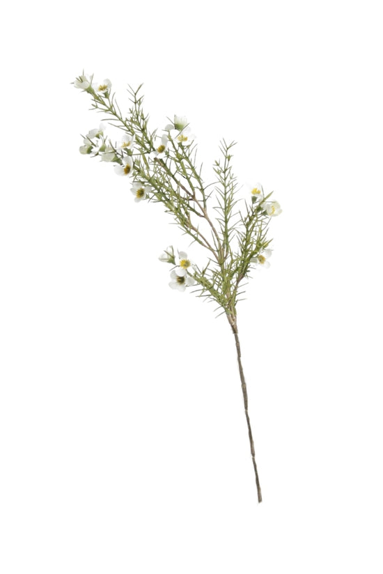 Faux wax flower spray with small cream blooms on fine green stems, on white