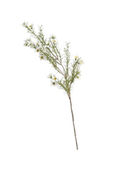 Wax Flower Spray 58cm Cream | Faux Stem