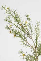 Wax Flower Spray 58cm Cream | Faux Stem