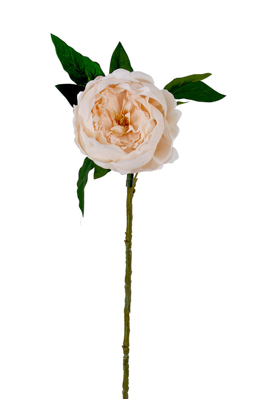 Sadie Real Touch Peony, Cream or Champagne 58cm Faux Stem