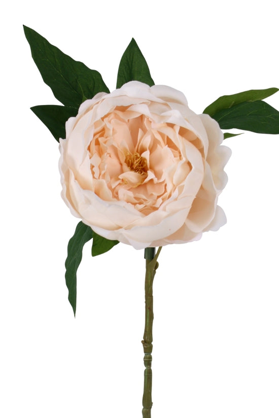 Sadie Real Touch Peony, Cream or Champagne 58cm Faux Stem