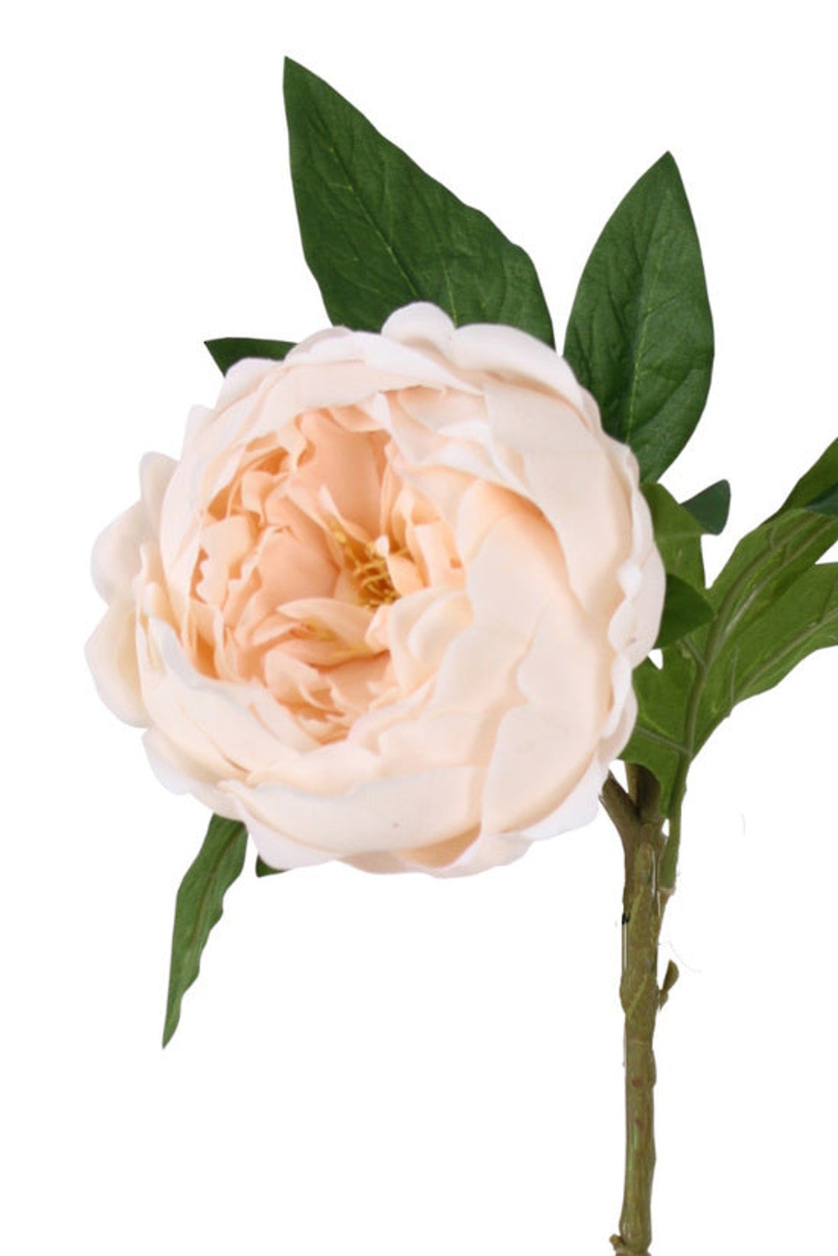 Close view of the Sadie Real Touch Peony in champagne with soft blush petals