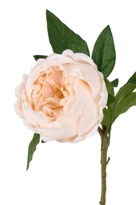 Sadie Real Touch Peony, Cream or Champagne 58cm Faux Stem