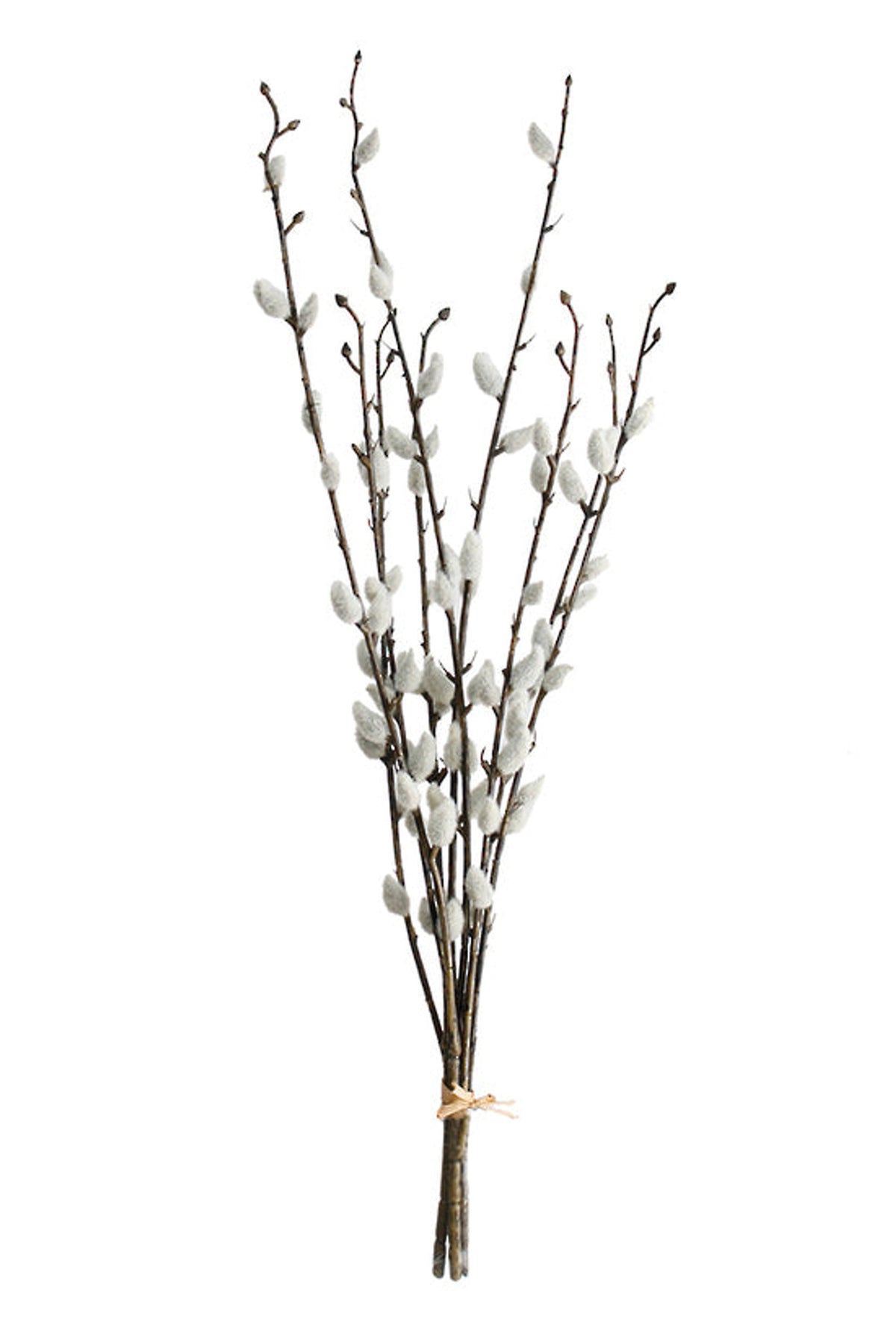Faux pussy willow bundle with soft silver catkins