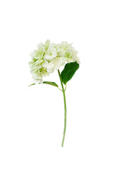 Real Touch Hydrangea - White / Green