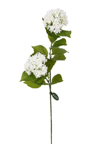 Viburnum Spray 2 Heads - White