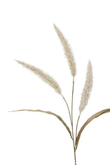 Fountain Grass Stem 94cm Cream | Faux Floral