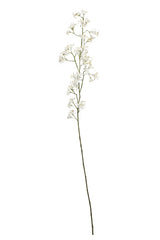 Hawthorn Blossom Spray – Tall White Artificial Stem