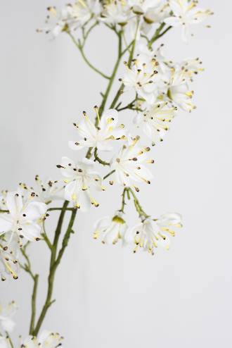 Hawthorn Blossom Spray – Tall White Artificial Stem