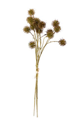 Sweet Chestnut Pod Bundle Brown 57cm – Artificial Stem Set