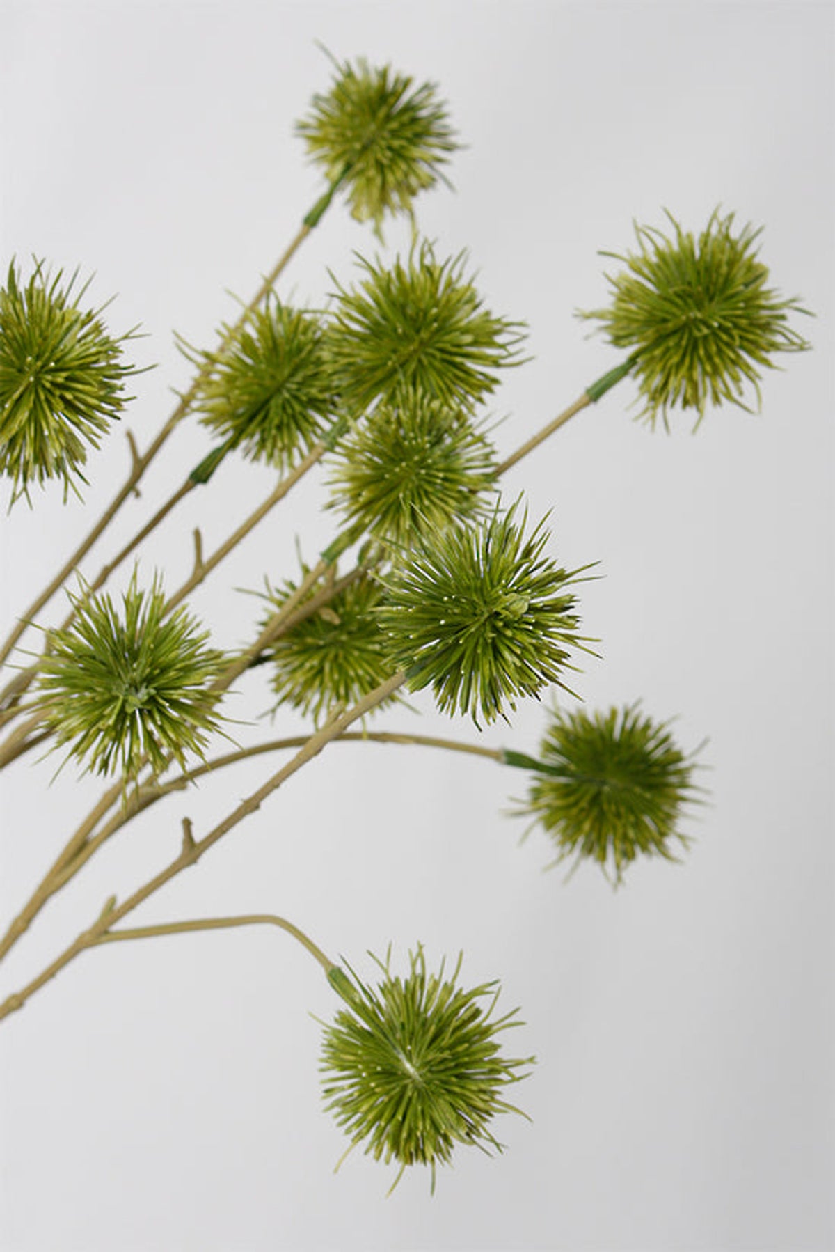 Close view of the faux chestnut pods on slender green stems