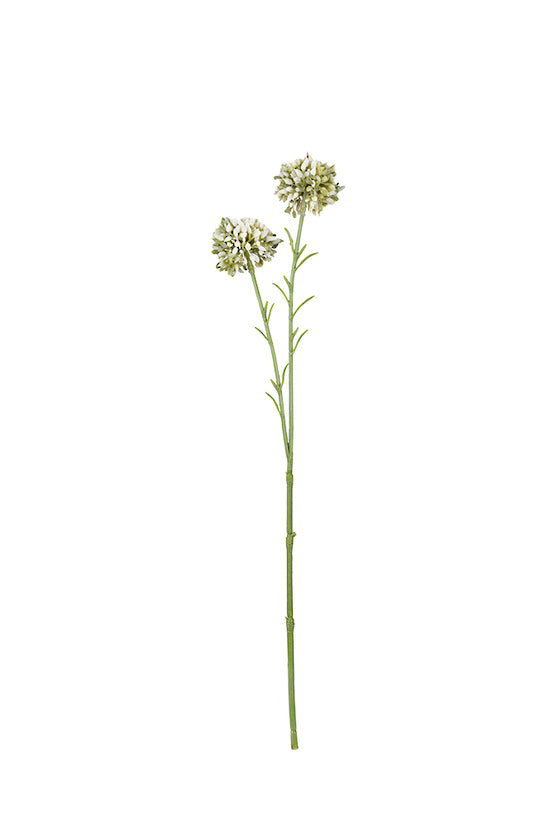 Mini Allium Stem, Cream 46cm Faux Flower