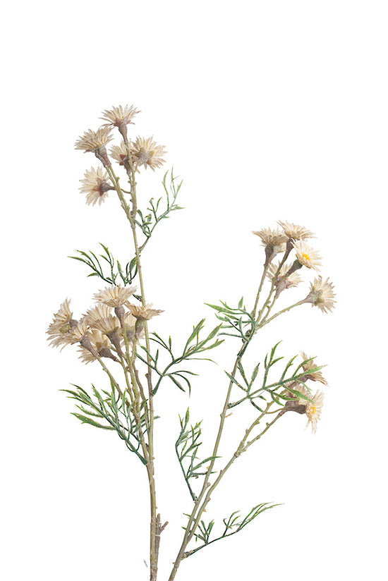 Daisy Spray, Cream 89cm Faux Stem