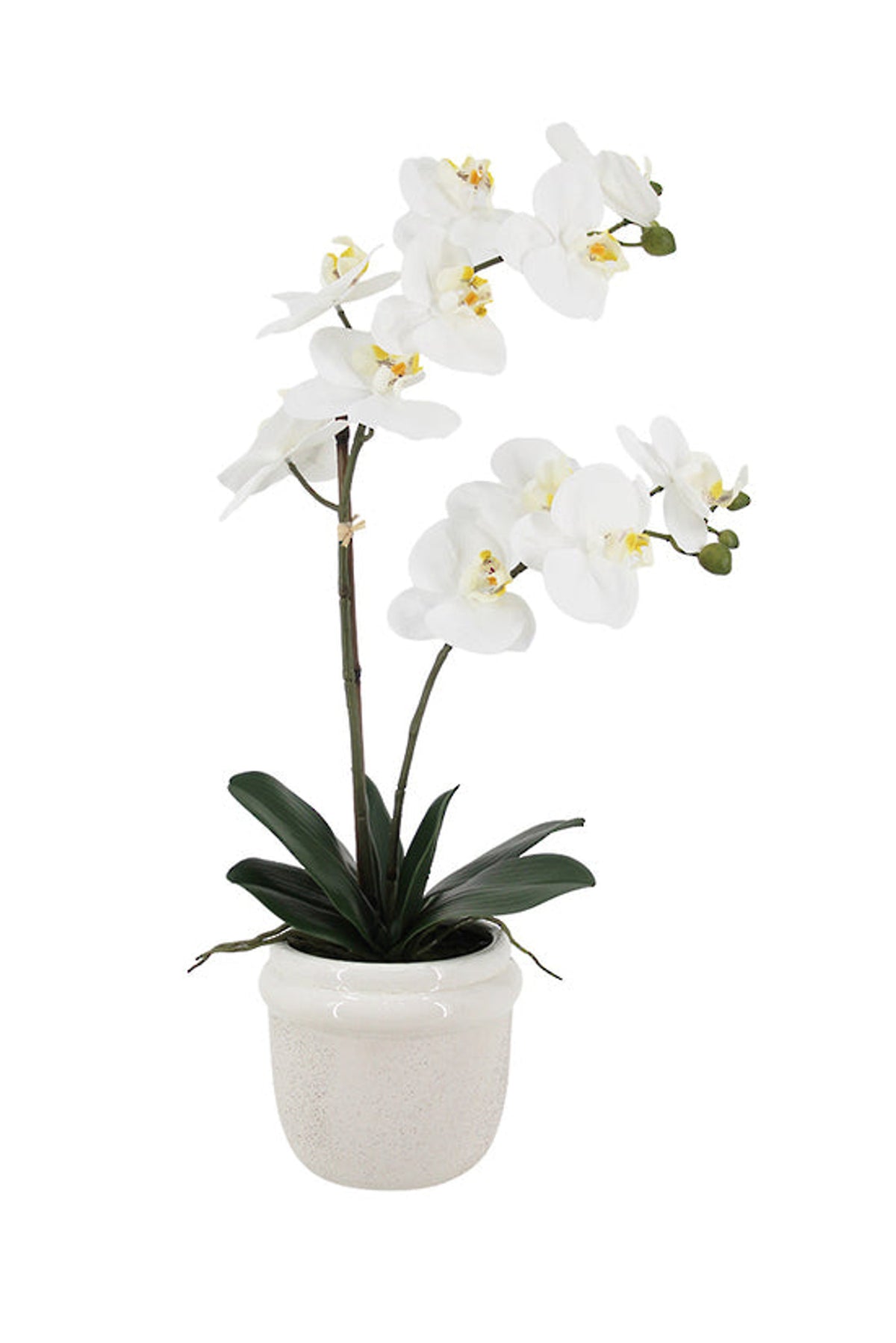 Faux white phalaenopsis orchid with a branching stem of blooms in a speckled white ceramic pot
