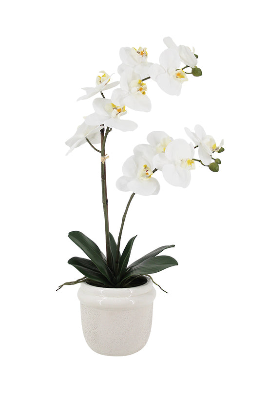 Phalaenopsis Orchid in Ceramic Pot, White 46cm / 58cm Faux Plant