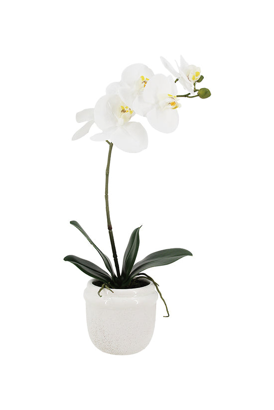 Phalaenopsis Orchid in Ceramic Pot, White 46cm / 58cm Faux Plant