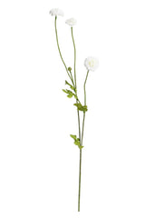 Pompom Spray White – Set of 4 Stems (59cm)