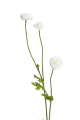 Pompom Spray White – Set of 4 Stems (59cm)