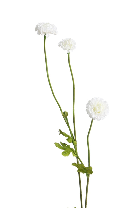 Pompom Spray White – Set of 4 Stems (59cm)