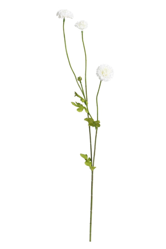 Pompom Spray White – Set of 4 Stems (59cm)
