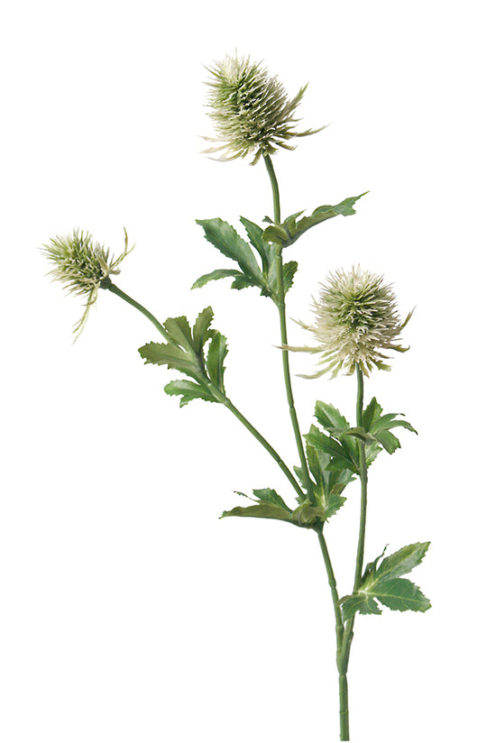 Thistle Spray, Green 63.5cm Faux Stem