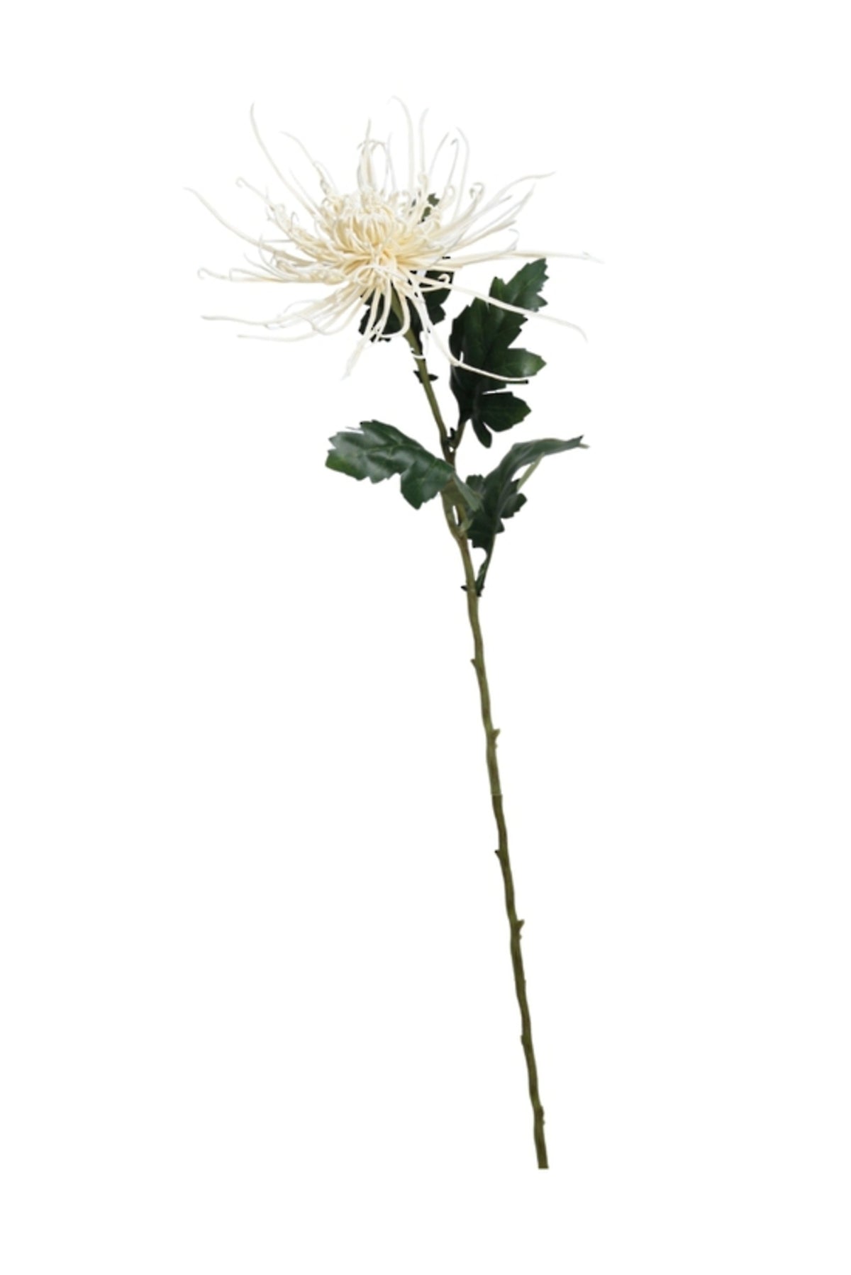 Cream Spider Mum Stem, 71cm Faux Flower