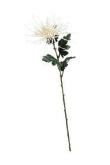 Cream Spider Mum Stem – 71cm Artificial Flower
