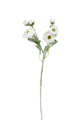 Ranunculus Spray White 48cm – Artificial Flower Stem