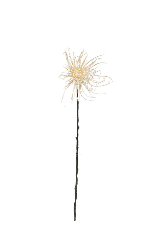 Spider Mum Stem, Winter White 71cm Faux Flower