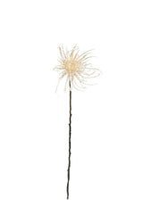 Spider Mum Stem Winter White 71cm