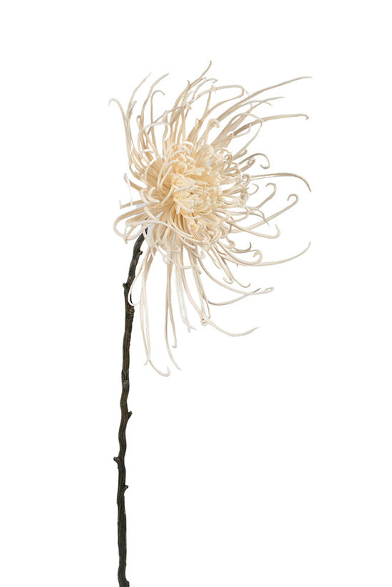 Spider Mum Stem, Winter White 71cm Faux Flower