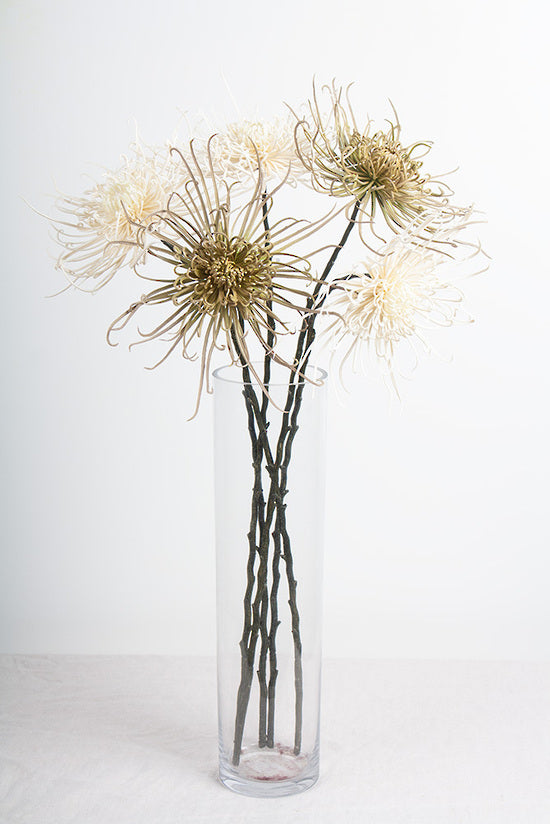 Spider Mum Stem, Winter White 71cm Faux Flower