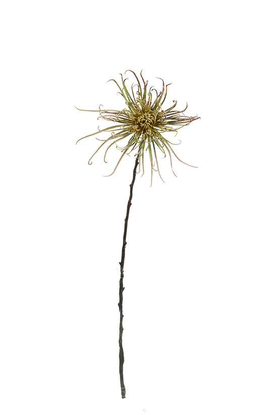 Spider Mum Stem, Khaki Green 71cm Faux Flower