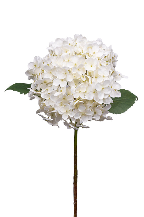 Artificial Annabelle Hydrangea flower with cream-colored petals and green leaves, single stem.