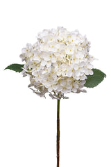 Annabelle Hydrangea 63cm Cream