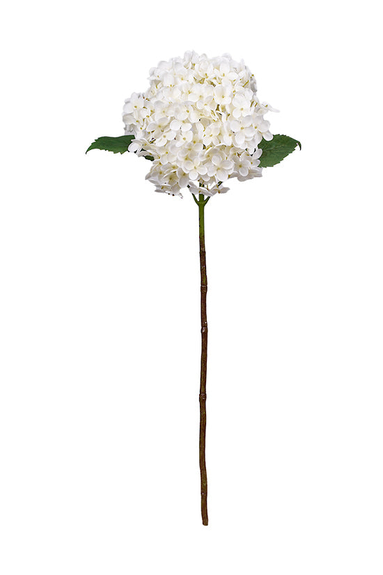Annabelle Hydrangea Stem, Cream 63cm Faux Flower