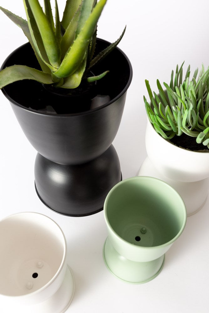 Black Domes planter with a plant beside white and sage planters and a small pot