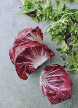 Sarah Tuck Dish Fast Two Cookbook | 100+ Quick Seasonal Recipes