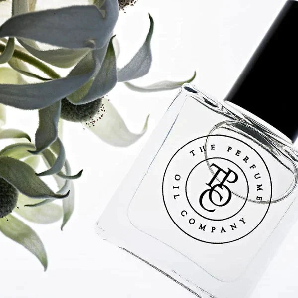 Roll-on perfume oil bottle with eucalyptus foliage and the box behind