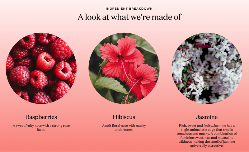 Holiday: Raspberry & Hibiscus Mini Diffuser