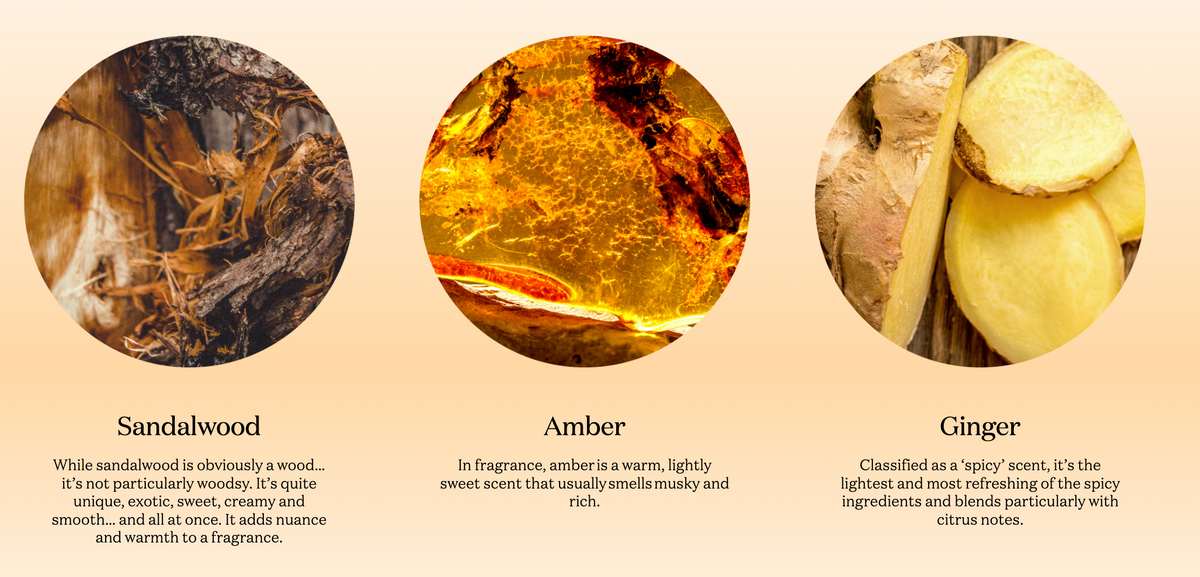 Fragrance note graphic showing sandalwood, amber and ginger for the Ecoya Sandalwood & Amber range