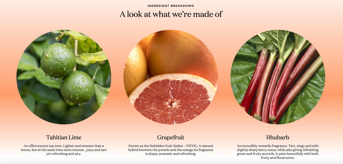 Ecoya ingredients graphic showing limes, grapefruit and rhubarb