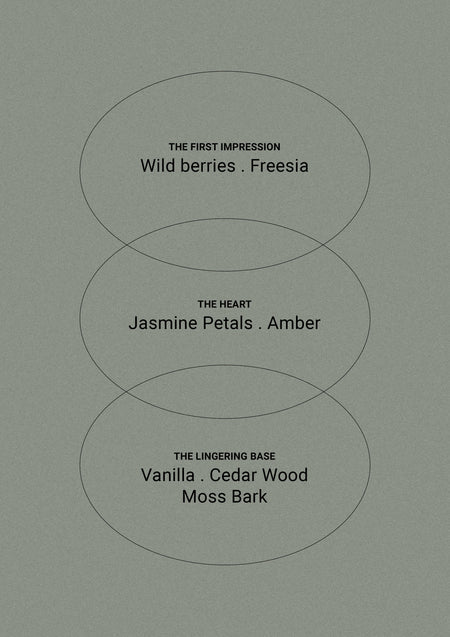 Sage green Smith & Co. card introducing the Amber & Freesia fragrance