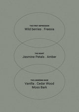 Smith & Co. Hand & Body Wash – Amber & Freesia 400ml