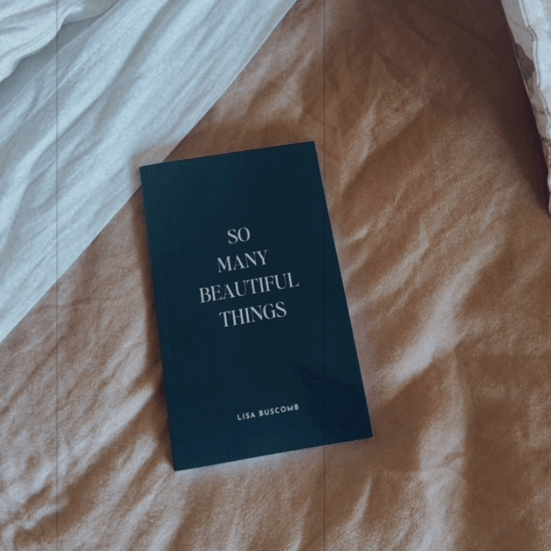 So Many Beautiful Things, Limited Edition by Lisa Buscomb, Wilde Road