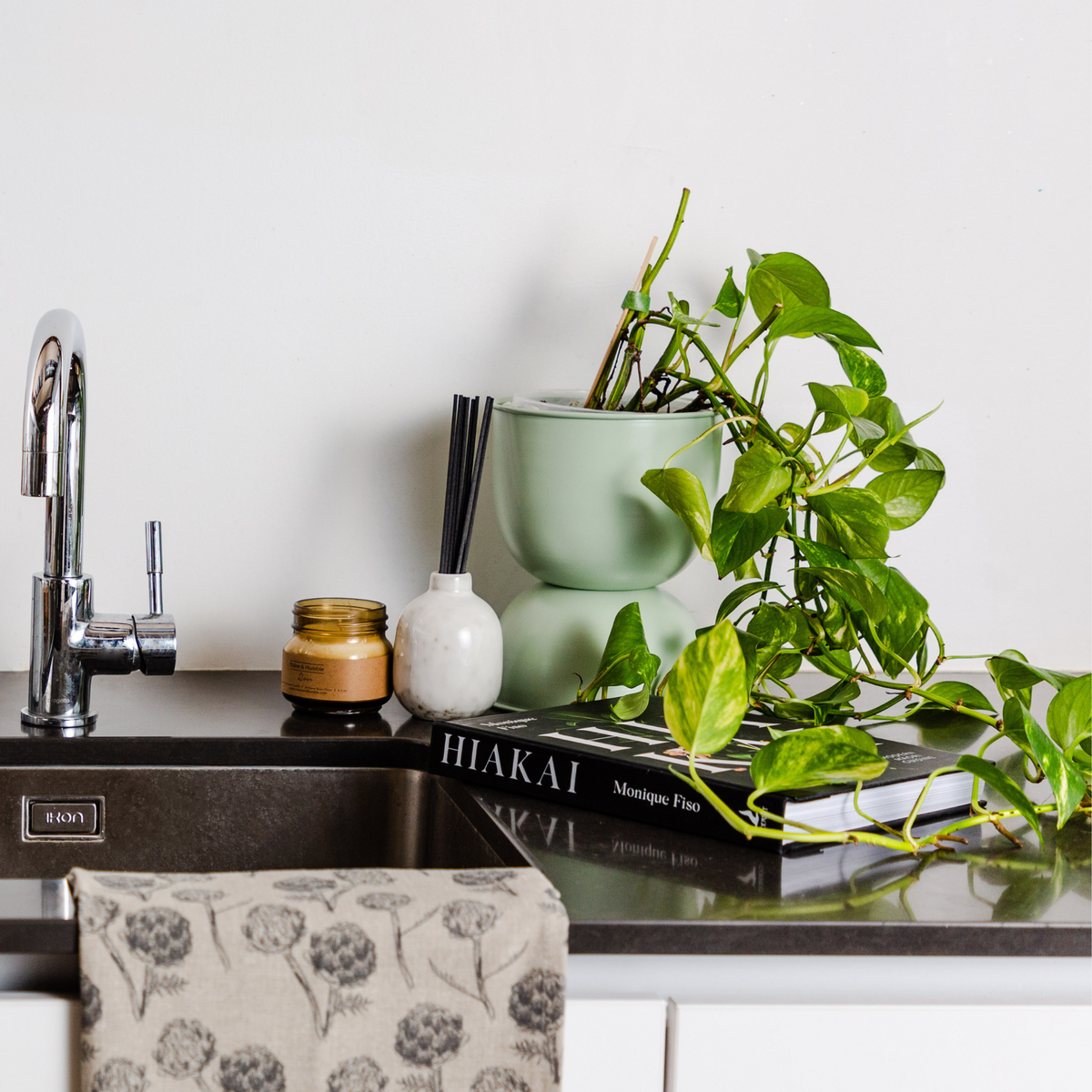 Domes planters styled on a kitchen bench with greenery