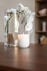 Smith & Co. Tonka & White Musk Soy Candle 250g – Zesty Citrus